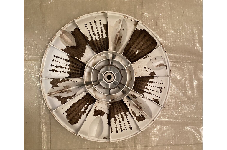 ６パルセーター